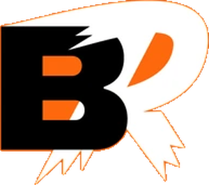 Betriot casino
