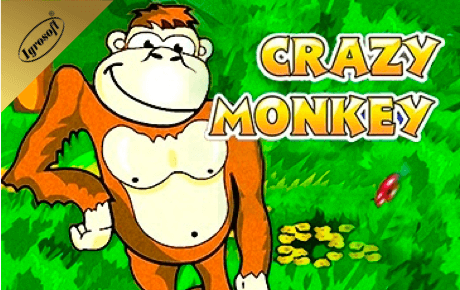 Crazy Monkey slot machine