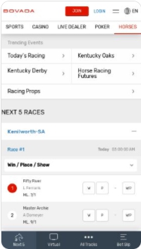 Bovada Horse Racing