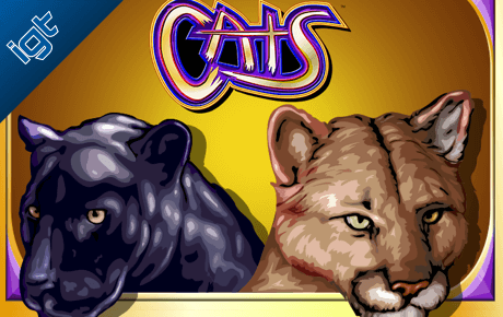 Cats slot machine