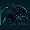 the first stage of the stranger - aliens