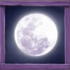 bonus symbol - big bad wolf
