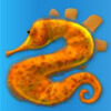 sea horse - great blue