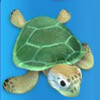 turtle - great blue